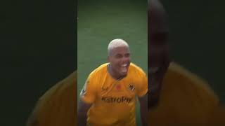 Mario Lemina 🐙🐺