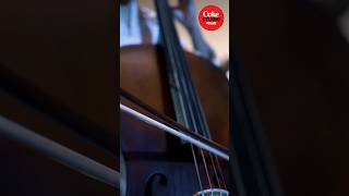 The magical orchestra set up of #ObakBhalobasha#RealMagic #CokeStudioBanglaS3