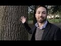 Understanding Human Behavior and Tree Growth
