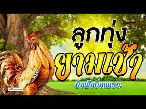 ลูกทุ่ง ฟังสบาย ยามเช้า - คุณภาพเสียงเยี่ยม #ฟังแบบต่อเนื่อง #มาแรง