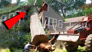 Dangerous Fastest Big Chainsaw Tree Felling Fails, Tree Falling on Houses, Tree Cutting Incident