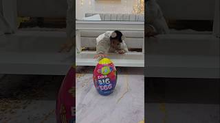 Baby cute very funny 😱👼❤️🤣😭