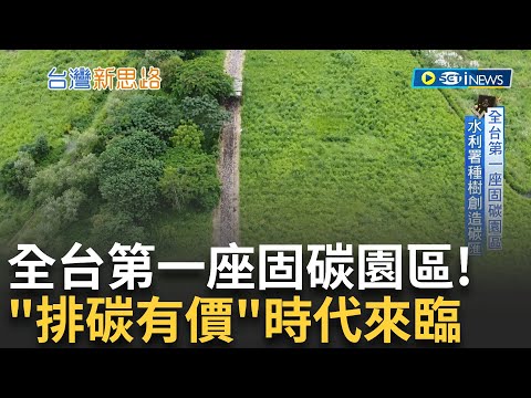 全台第一座固碳園區! 水利署種樹創造碳匯 種樹專家也重新學 如何固碳成顯學 "排碳有價"的時代 二氧化碳回收利用 溫室氣體變黃金｜記者 呂蓓君 張凱喨｜【台灣新思路】20231012｜三立iNEWS - YouTube