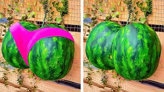 Amazing new gardening tips you need to SEE to believe 🤯🌿