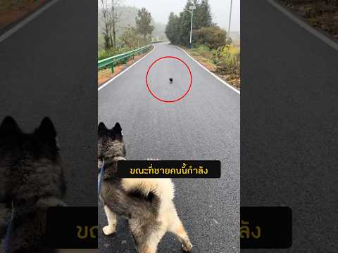 เขานึกว่าหนูยักษ์แต่มันไม่ใช่! #สัตว์โลกน่ารัก