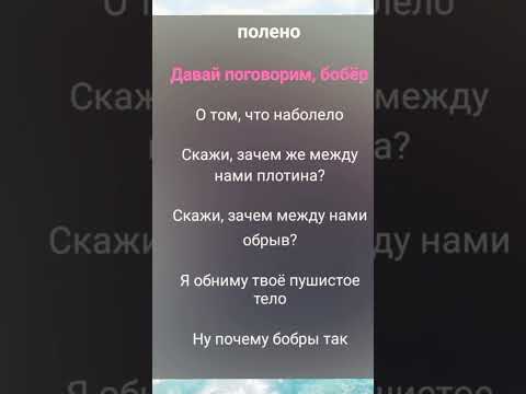 •Автор песни SLAVA SKRIPKA• название песни "Бобр" #рееккк#залити#пустьзалетит#врек#видео#мемас#тренд