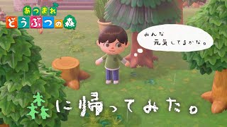 ひさびさに森に帰ってみた。【 あつまれ どうぶつの森 】 #37