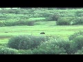 Analiz Videyo: Entwodiksyon ak Konsèp Debaz
