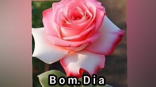 Lindas mensagens de bom dia feliz segunda feira 😘❤️🙏