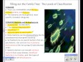 Exploring the Origin of Life and Classification in Biology