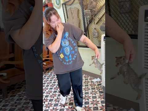 Abandoned Cat #shorts