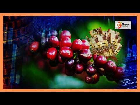 YouTube video thumbnail: Government Pushes to Revive Coffee Sector Through Local Consumption