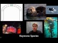 Biodiversity and Ecosystem Dynamics