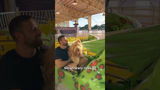 I rented an entire theme park for my dog! 👻🎡 #halloween #doghalloween #dogdad