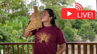 Live Music with a Cozy Amazonian View