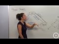 Phase Changes and Energy Concepts