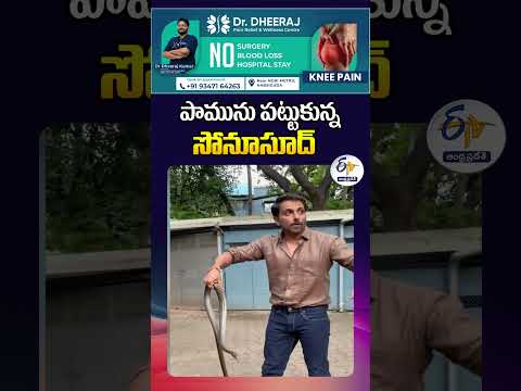 పామును పట్టుకున్న సోనూసూద్