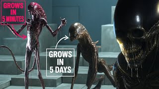 Why Does The ALIEN EARTH XENO Grow SLOWLY?