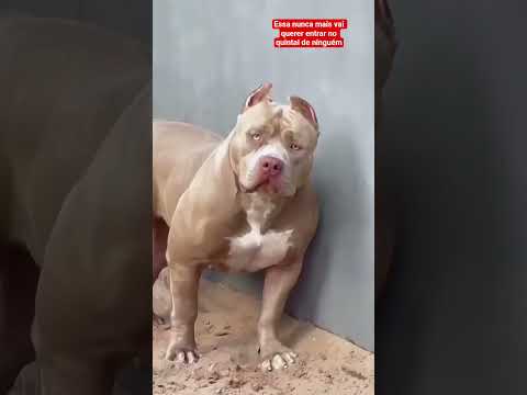 #vizinha #comediante minha vizinha entrando para pegar planta