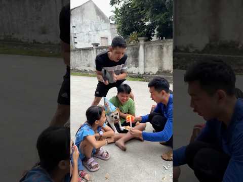The Dog Cries on His Birthday After Being Harmed by a Villain #pet #dog #lovedog