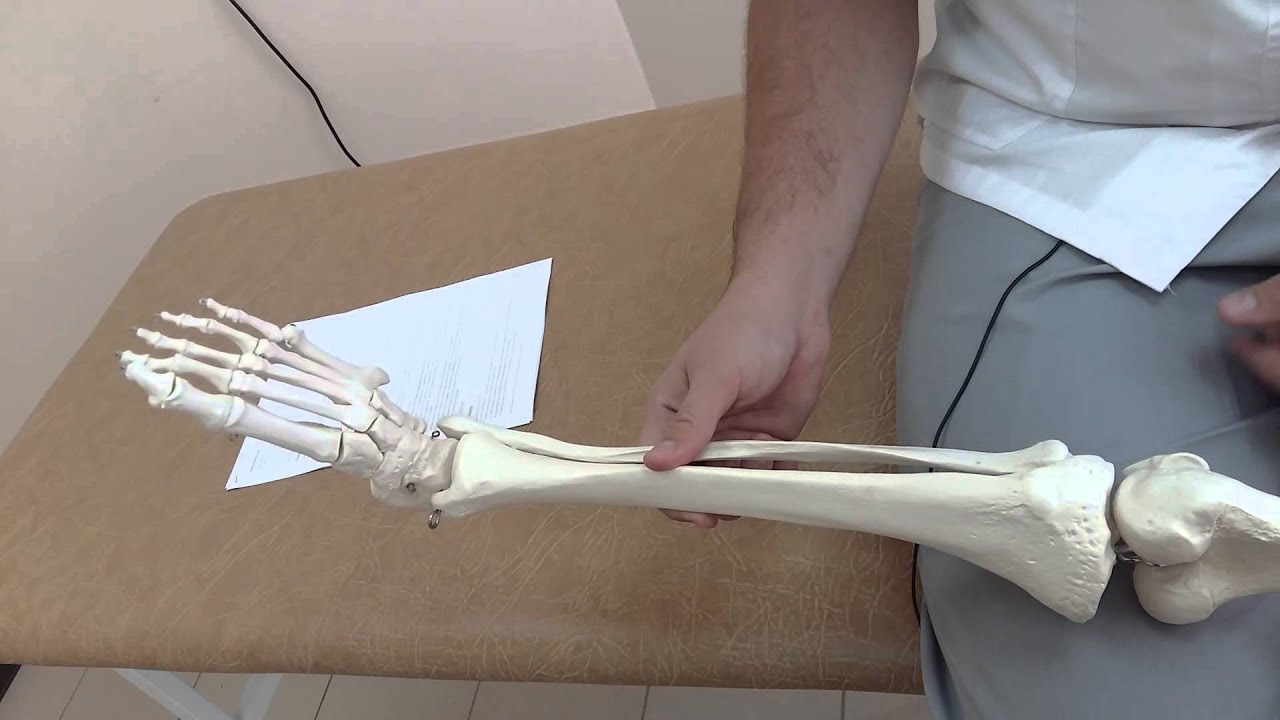 Боль и онемение в ноге при грыже диска. Pain and numbness in the leg with disc herniation