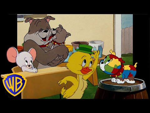 Tom und Jerry auf Deutsch 🇩🇪 | Kinder, jetzt steht ihr im Rampenlicht! 🐶🐣✨ | @WBKidsDeutschland​