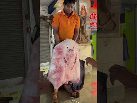 ৫৫ কিলো ওজনের খাসি কাটা হচ্ছে মাত্র ৪০০ টাকা কিলো #youtubeshorts #fish #bigfishcutting #fishcuting