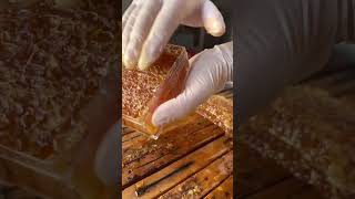 Honey Cutting Satisfying video #asmr #satisfying #satisfyingvideo #honey