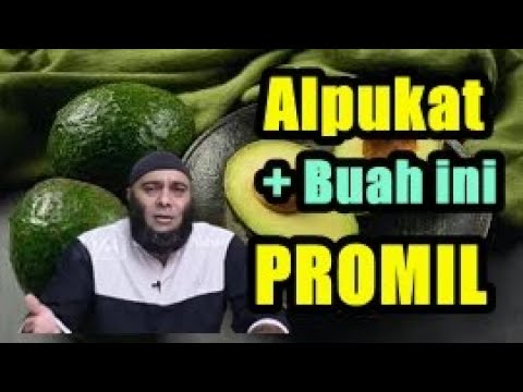 dr. Zaidul Akbar - Makan Alpukat Dan Buah ini untuk Promil