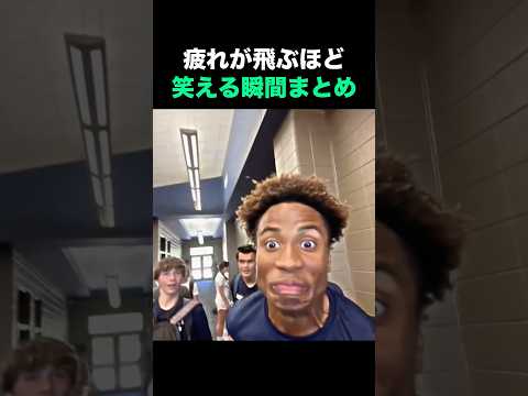 疲れが飛ぶほど笑える瞬間まとめ🤣🤣🤣