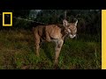 Exploring the Challenges of Wildlife Photography