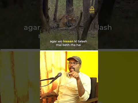 Tigers attack when humans enter their territory --but what when they enter villages?....#wildlife