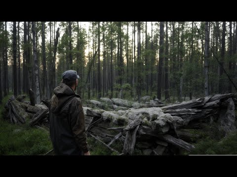 НАШЁЛ ИЗБУ! 9 МЕДВЕДЕЙ У БАЗОВОЙ ИЗБЫ. РЫБАЛКА НА ХАРИУСА.ТАЁЖНЫЙ.