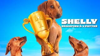 Shelly, champion à 4 pattes | Film Complet en Français