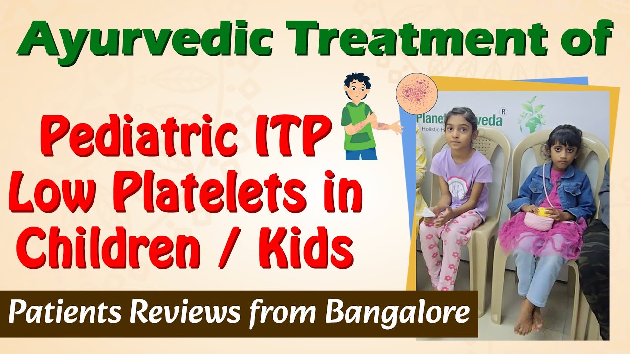 Watch Video Ayurvedic Treatment of Pediatric ITP - Low Platelets in Children/Kids -Patient Review from Bangalore