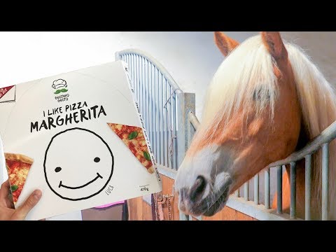 PIZZA für meine PFERDE! Wie die Pizza meinen Pferden schmeckt / LUCA PIZZA Concrafter