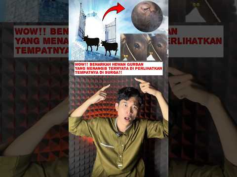 WOW‼️ Benarkah Hewan Qurban Yang Menangis Ternyata di Perlihatkan tempatnya di Surga⁉️ #shorts