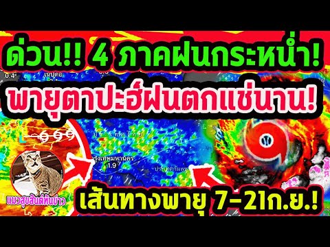ด่วน!! พายุตาปะฮ์ ดึงร่องมรสุมกำลังแรง ฝนตกแช่ตกนาน 4 ภาคฝนกระหน่ำ 7-8 ก.ย. พยากรณ์อากาศวันนี้