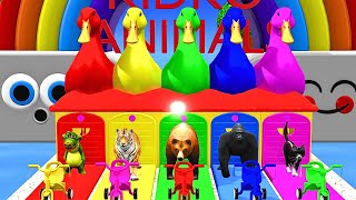Long Slide Game With Cow Elephant Gorilla Hippopotamus Tiger - 3d Animal Game - Funny 3d Animals #1