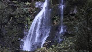 Oregon Waterfall