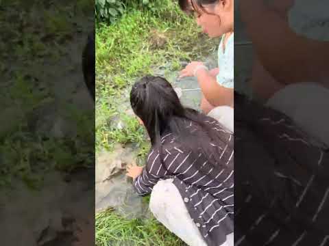 過年也要抓龍蝦 #funny #搞笑 #親子生活 #萌娃 #搞笑影片 #fun