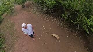 Un paseito con pepota