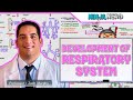 Development of the Respiratory System