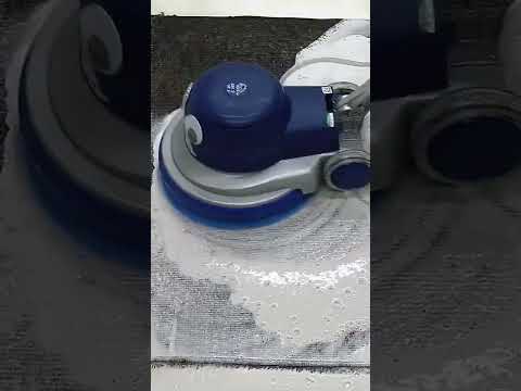 이게 다 흙이었다고?! 🤮 카펫 속 진흙탕 괴물 세척!/ All That Was Mud?!/ Tất cả là bùn sao?!