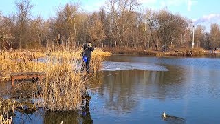 видео