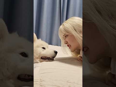 강아지한테 무섭게 이를 드러냈더니..ㄷㄷ