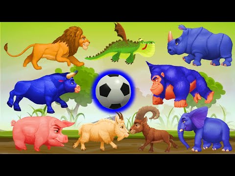 Soccer Ball Play to Animal | Baby Nursery Rhymes & Kids Songs | Happyvasu