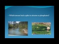 Water Quality Assessment Questions