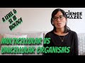 Plant Structure and Function Concepts
