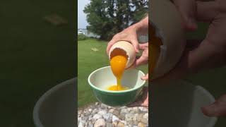 Engineers vs GIANT Egg Drop